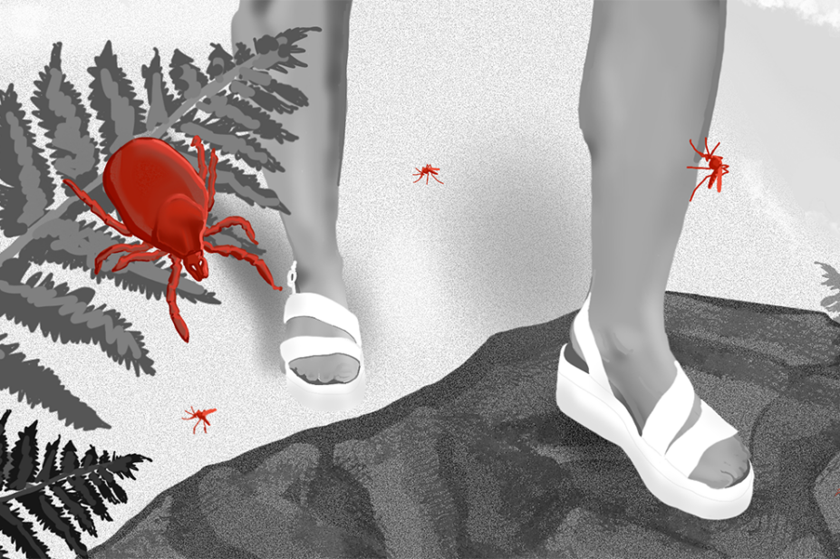 A scene in Dartmoor, a person is stepping from scorched grass onto a rock surrounded by ferns, everything is in black and white apart from the ticks and mosquitos which are in red