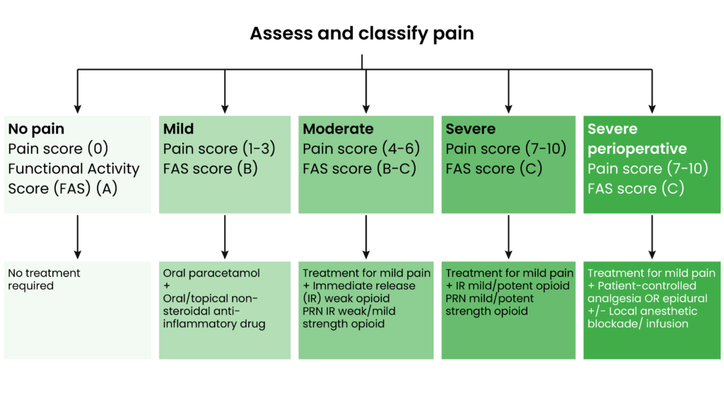 white background with 'assess and clarify pain' flow chart in greens according to how severe the pain is