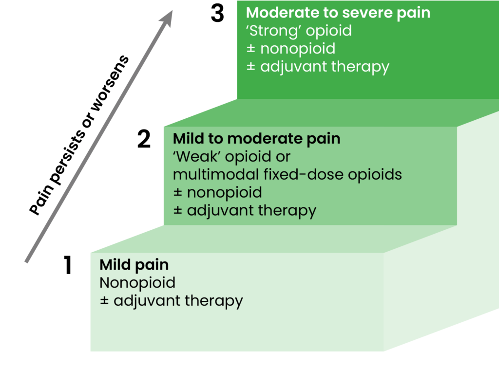 White background with steps from light green to darker green showing the increase in pain severity and continuity and how to navigate
