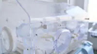 Newborn incubator in a modern neonatal unit during a bright day in a hospital
