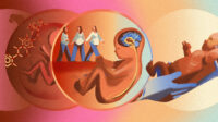 Background from red to yellow to green. Within four circles are embryos, a baby in hands and folic acid molecular structure