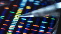 Genomic Research, Scientist holding a DNA sample in a vial with the profile results on screen in the lab