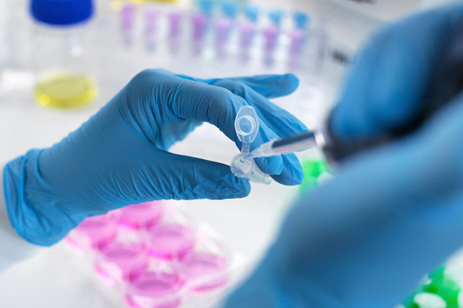 A scientist inspects a sample for analysis in a laboratory